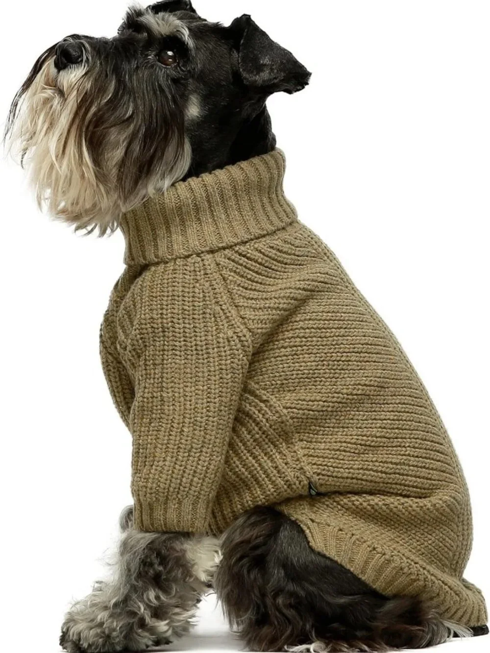 Cozy Thermal Knitted Dog Sweater - Winter Coat, Turtleneck Jacket, Sage Green